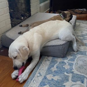 Meet your Posher, Candice